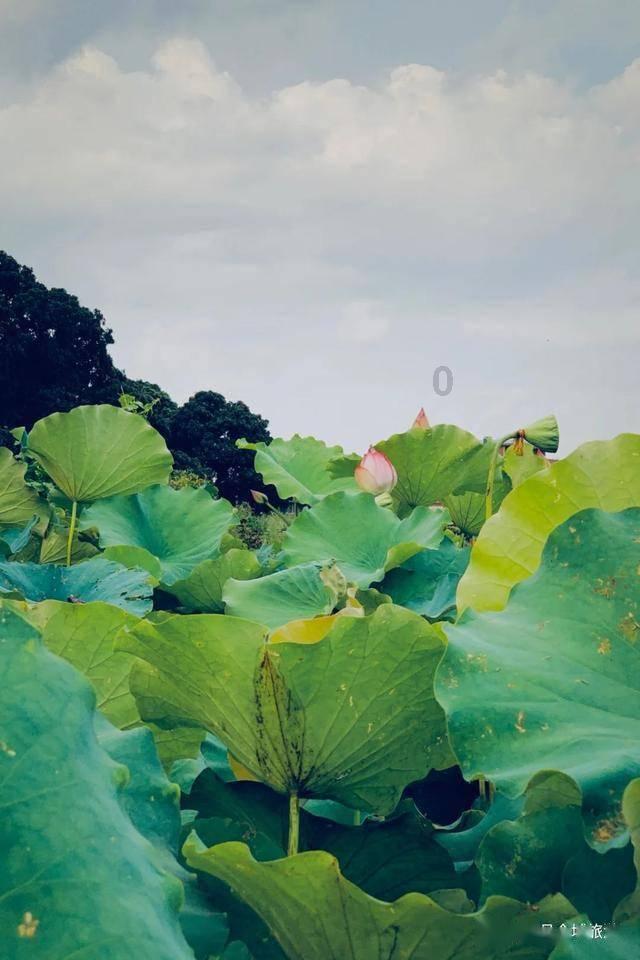 像素排球大作战