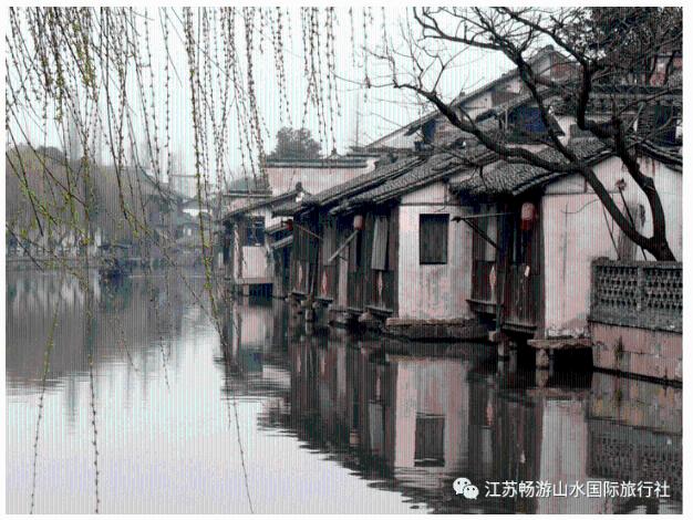 异形：隔离